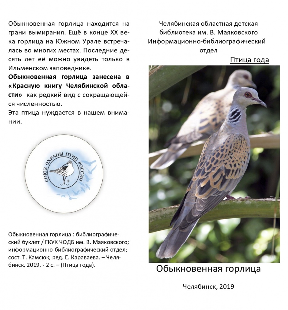 Обыкновенная горлица